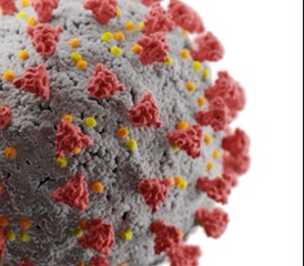 Špecifické sérologické markery imunitnej odpovede pri infekcii SARS-CoV-2, ich dôkaz a interpretácia